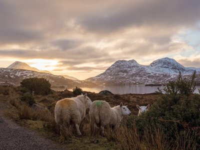 Backgrounds - Neil Ingham 772827 Unsplash