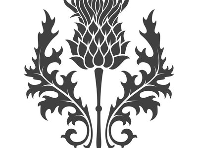 Backgrounds - Thistle Black And White